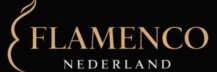 Flamenco Nederland, the best flamenco performances in Netherlands